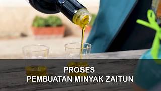 Download Lagu Proses di Balik Mahalnya Minyak Zaitun Dunia MP3