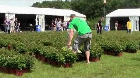 FRE2012 - RoseRunner - Task 2