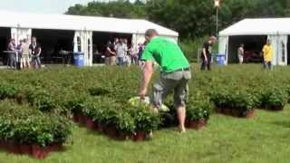 FRE2012 - RoseRunner - Task 2