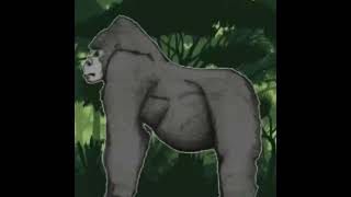 Chororapithecus Sound Effects 🦍 🔊