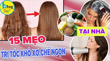 15 cách phục hồi tóc khô xơ chẻ ngọn nhanh và hiệu quả nhất tại nhà ai cũng làm được