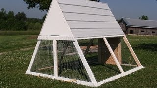 do chicken coops attract flies 2