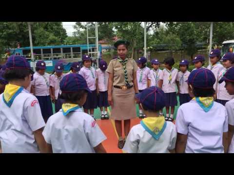 การทำ แกรนเฮาร์ลูกเสือสำรอง