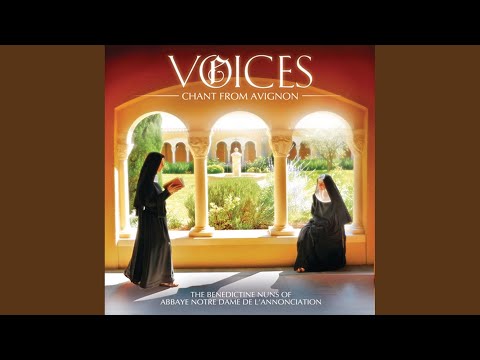 Make Traditional Dutch Vla With Us! 🤍🇳🇱