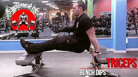 Triceps - Bench Dips Exercise Demo and Video @ Supplement Inc