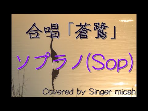 合唱「蒼鷺」（混声四部）ソプラノ(Sop) -フル歌詞付き- 音取り用 Covered by Singer micah
