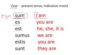 Latin verbs: esse