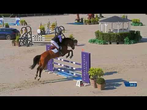 Georgia von Baarlo CSI1* Peelbergen