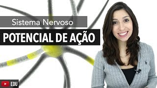 Sistema Nervoso 5/6: Potencial de ação