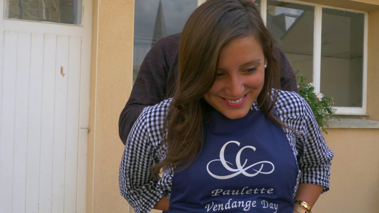 Vendange Day Champagne Cattier 2017