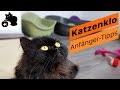 ðŸ”¥Katzenklo Tipps | Katzenklo reinigen & GerÃ¼che neutralisieren | Katzenklo stinkt was tun?