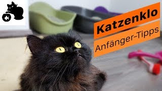 Katzenklo Tipps | Katzenklo reinigen & Gerüche neutralisieren | Katzenklo stinkt was tun?