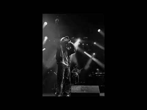 AFROB - R.I.P. feat Megaloh AUDIO (Acoustic)