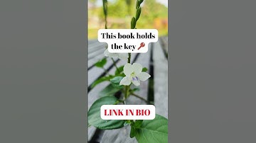 How I Made $10,000 FAST Using These ChatGPT Prompts (No Experience Needed!)