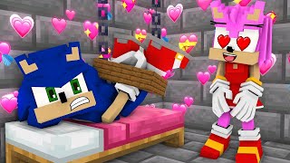 Who will Amy Fall in Love? RICH Shadow vs POOR Sonic | Sonic the Hedgehog 2