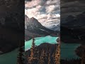 Unreal Glacial Blue | Peyto Lake, Canadian Rockies 🇨🇦✨