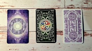 The Truth of This Connection 💖 Pick A Card Timeless  Reading