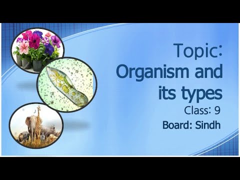 Video: Hvad er en unik type organisme?