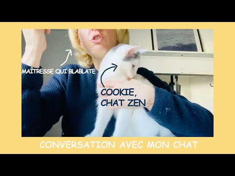 Conversation avec mon chat - Chat 21