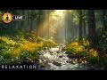 🔴 Relaxing Music 24/7, Healing Music, Meditation Music, Spa Music, Sleep, Zen, Study Music, Yoga