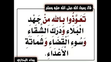 سورة المومنون