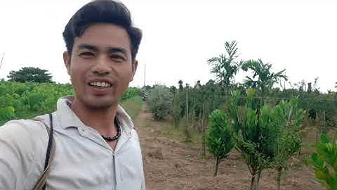 8 hugo chô tài câu cá và cái kết trúng ỗ cá rô mê " huỳnh lâm 66