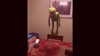 sad kermit