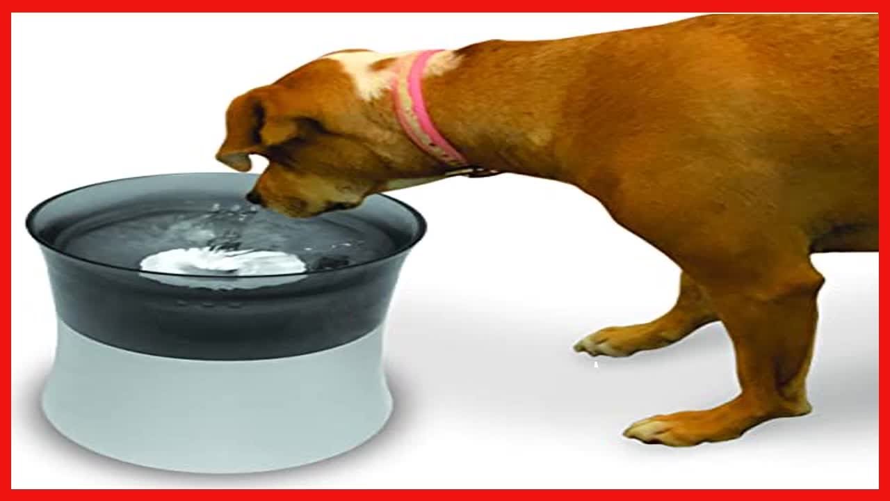 ZEUS H2EAU Triple Action Fountain Filter, Replacement Dog Water Fountain Filter, 2Pack,White