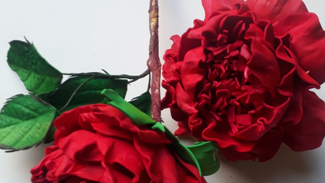 linda peonia em e.v.asem frisadres!!