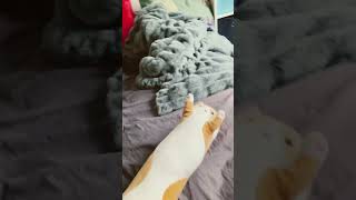 disturbing the long loaf