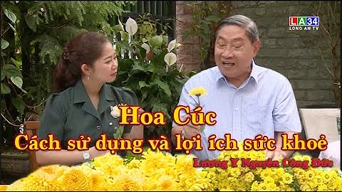 HOA CÚC CÁCH SỬ DỤNG VÀ LỢI ÍCH SỨC KHOẺ - Lương Y Nguyễn Công Đức