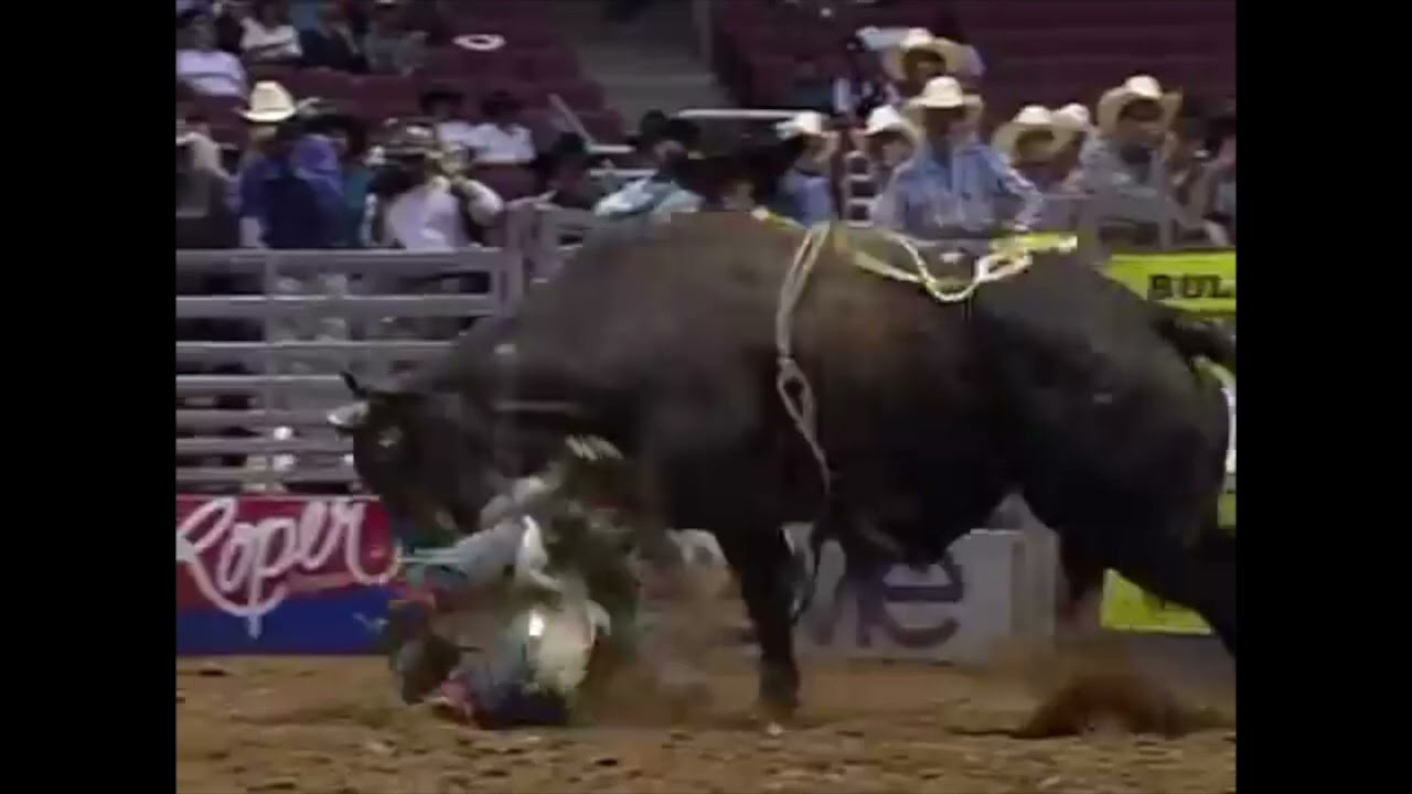 Black Majic bucks Clinton Jones - 93 BRO Anaheim