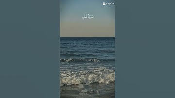 تلاوة خاشعة تريح القلب #القرآن_الكريم #اكسبلور #quran #لايك #الراحة_النفسية