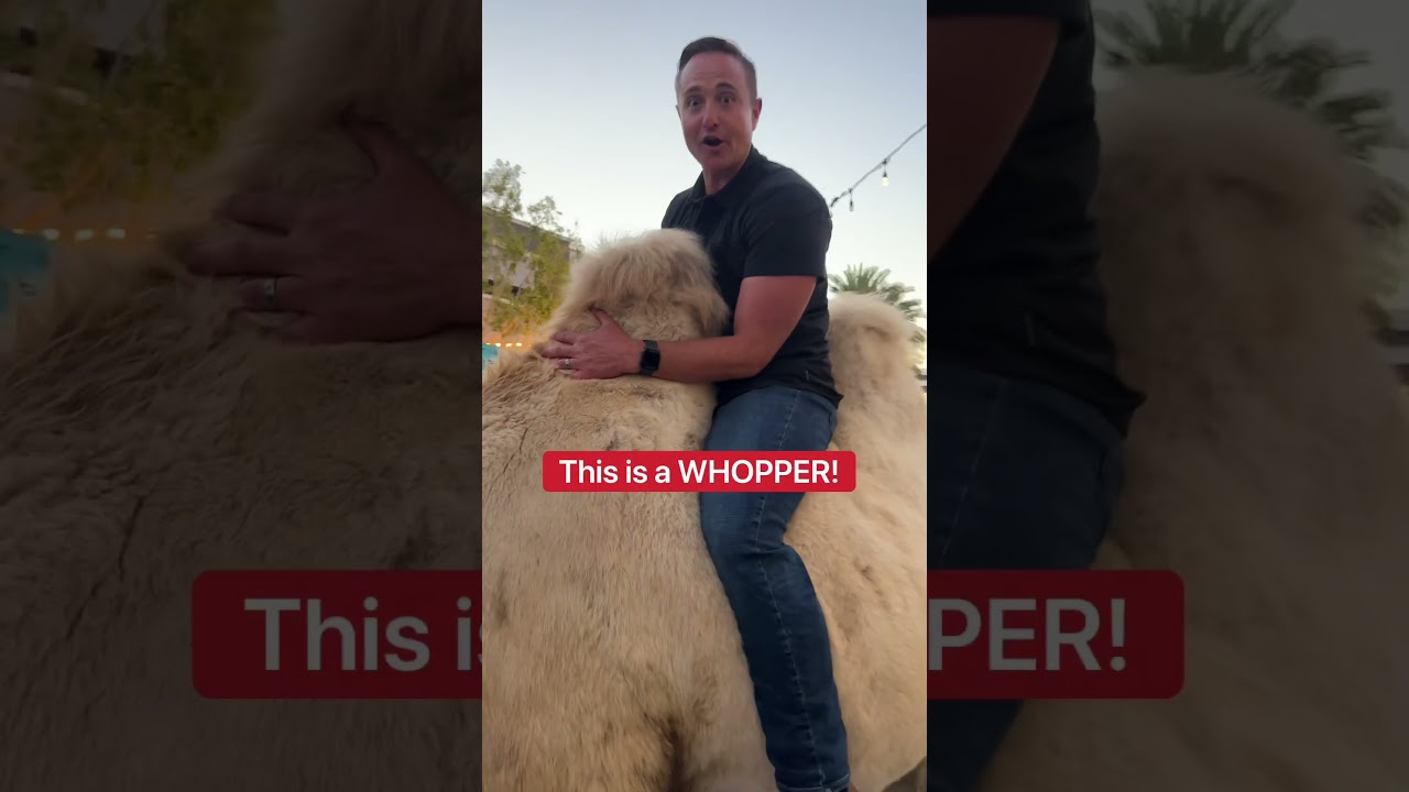 First Time Riding A Camel & THIS Happened 😱🐫 