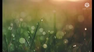 KUMPULAN LAGU TERBAIK ANDMESH  || FULL ALBUM