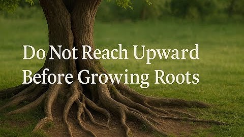Sacred Solitude: Do Not Reach Upward Before Growing Roots