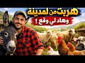 حياة الراعي الحقيقي في المغرب