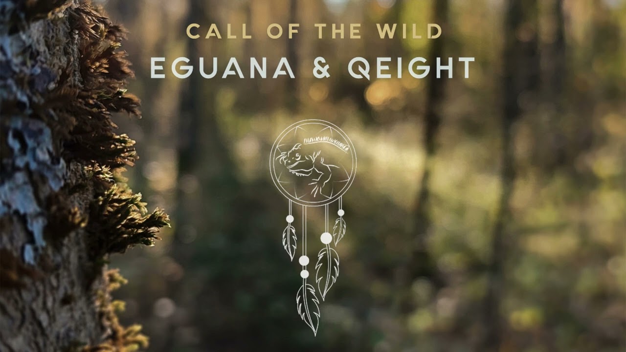 Watch Eguana, Qeight - Deep Forest (Ambient) on YouTube Watch Eguana, Qeight - Deep Forest (Ambient) on YouTube