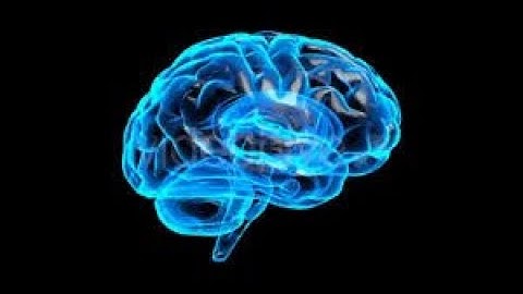 AMAZING 19mins Visualization Video to Attract Money FASTER-Bed Time