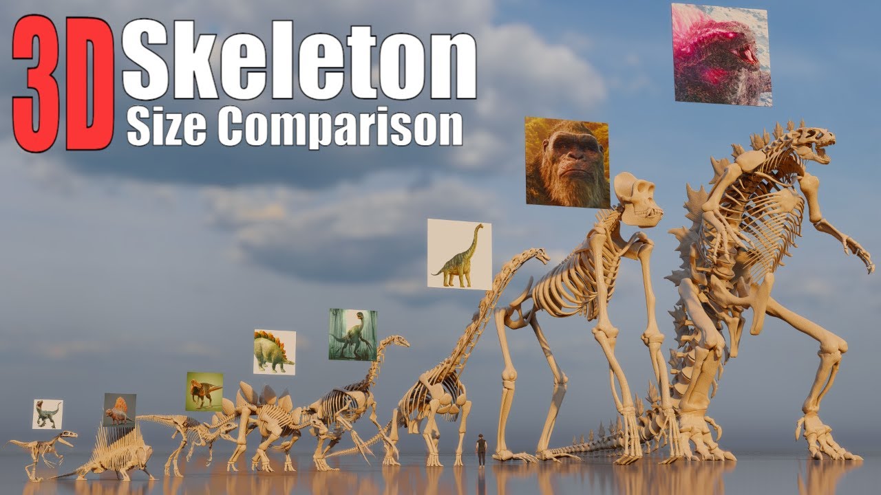 Animal Dinosaur and Sea Monster Skeletons 3D Size Comparison Godzilla Vs Kong