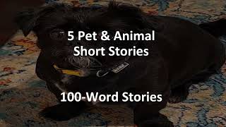 5 Pet Animal Short Stories