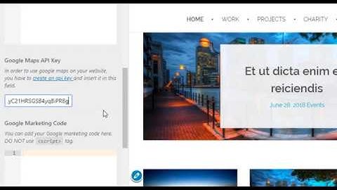 Phlox Contact Box with Elementor