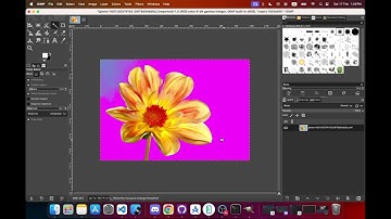 Macbook m3 - Gimp Can not delete the selection with Delete button - an Alternative Fix