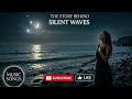 SILENT WAVES سايلنت ويفيز أجمل أغنية هادئة مع احساس عاطفي وصوت الكمان 