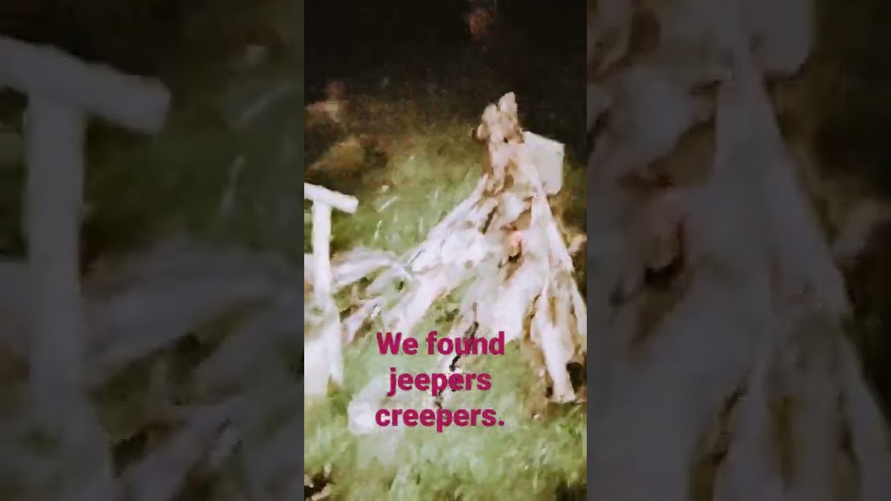 Jeepers creepers House. YouTube