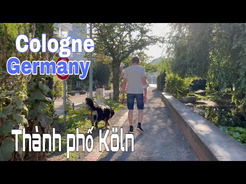 Video: Nhà hàng tốt nhất tại Cologne