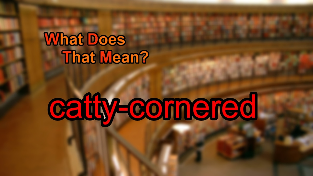 What Does Catty cornered Mean YouTube what-does-catty-cornered-mean-youtube