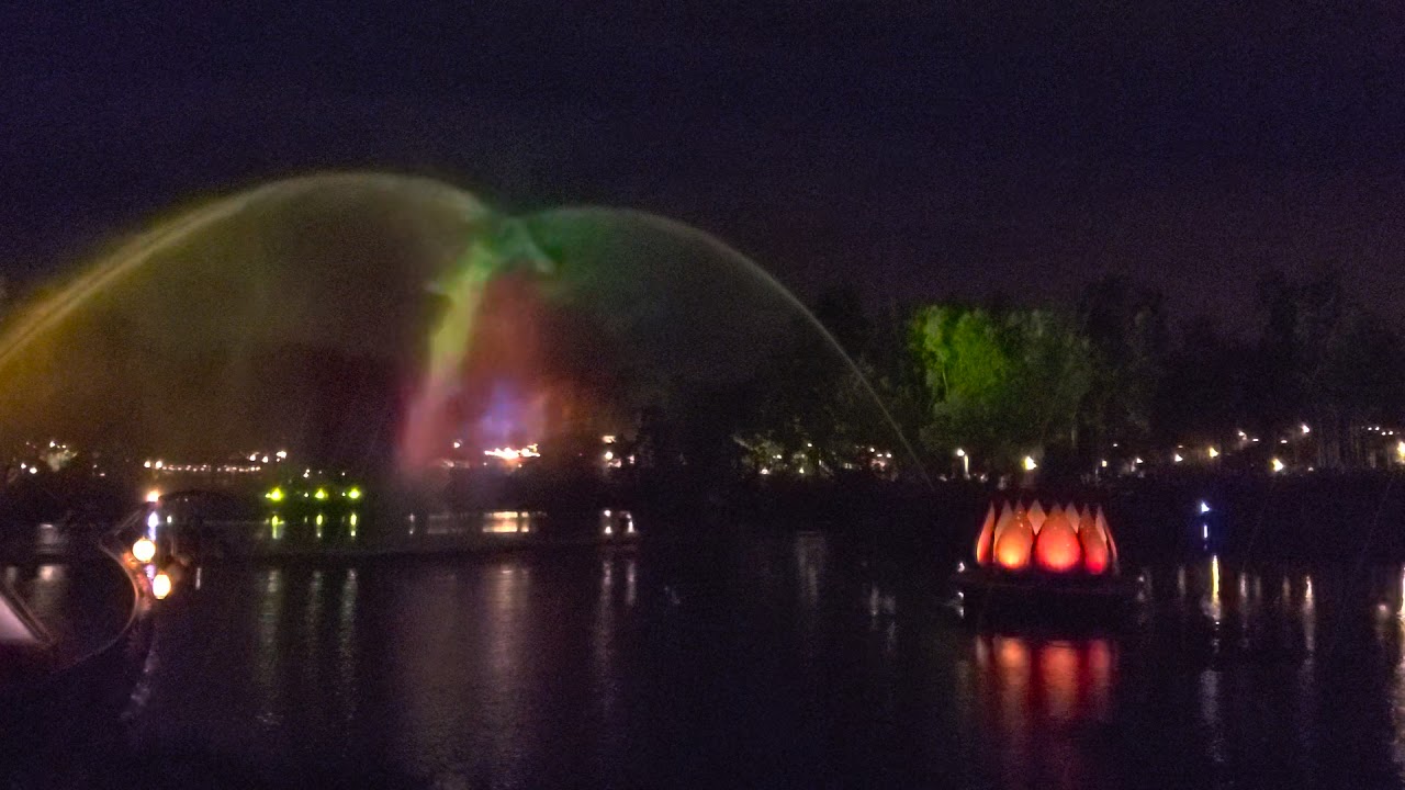 Animal kingdom light show YouTube