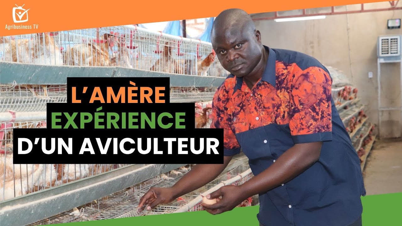 Burkina Faso : L’amère expérience d’un aviculteur