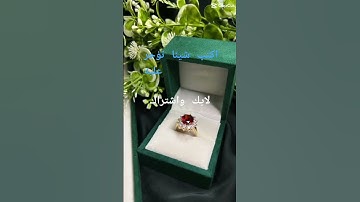 تلاوة عطرة تريح النفوس وتاسر القلوب/